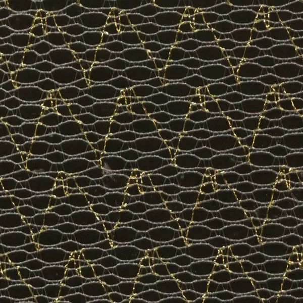 Mesh net lace - design 050